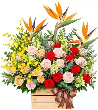 Hộp hồng đỏ phấn thiên điểu