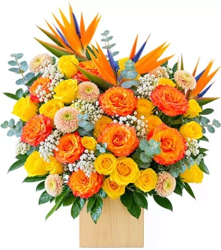 Hộp hồng cam thiên điểu