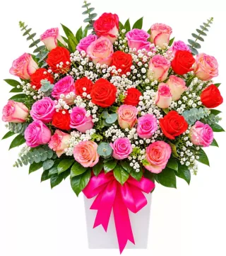 Hộp hồng đỏ hồng phấn