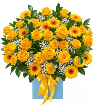 Hộp hồng vàng phối đồng tiền