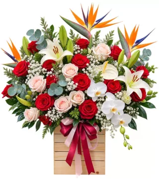 Hộp hồng đỏ lan trắng