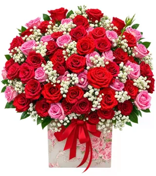 Hộp hồng đỏ hồng phấn