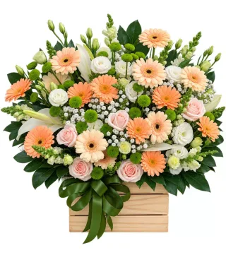 Hộp đồng tiền cam nhạt