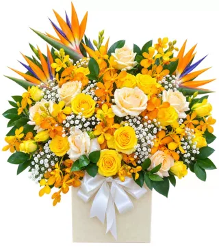 Hộp hoa vàng phối thiên điểu