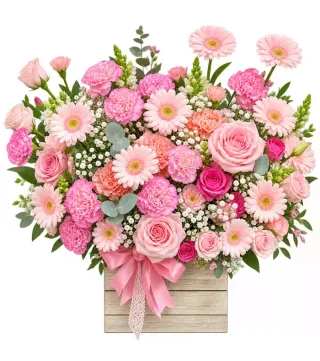 Hộp hồng phấn đồng tiền