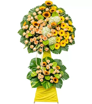 Kệ hướng dương hồng kem