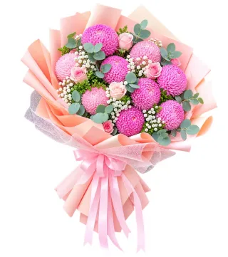 Bó cúc mẫu đơn hồng