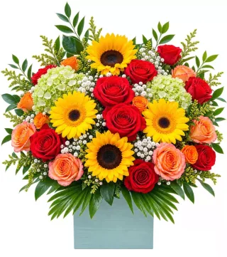 Hộp hướng dương phối hồng đỏ