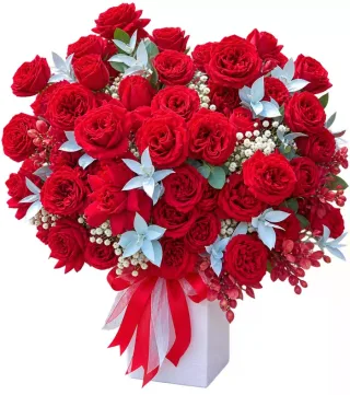 Hộp hồng đỏ dáng tròn