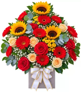 Hộp hướng dương hồng đỏ