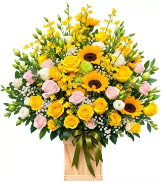 Hộp hướng dương hồng vàng
