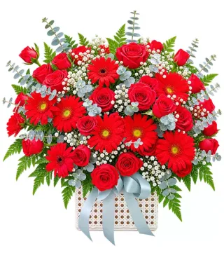 Giỏ hồng đỏ phối đồng tiền