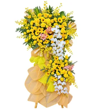 Kệ hoa vàng lan trắng