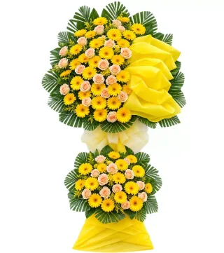 Kệ đồng tiền vàng hồng