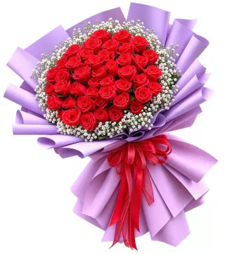 Bó hồng đỏ gói tím