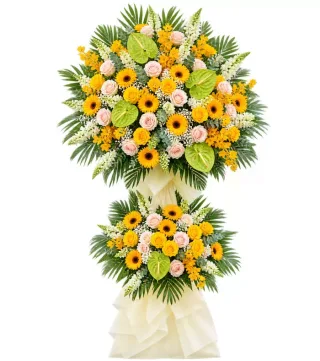 Kệ hướng dương hồng phấn