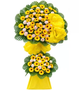 Kệ đồng tiền vàng hồng
