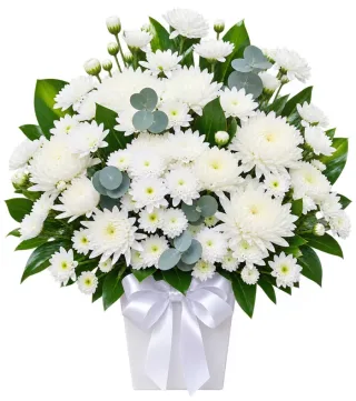 Hộp hoa viếng cúc trắng