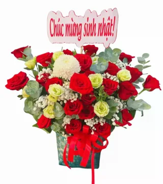 Hộp hồng đỏ phối hồng xanh kem