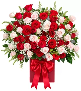 Hộp hồng đỏ trắng