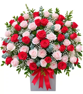 Hộp hồng đỏ hồng phấn