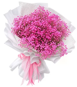 Bó baby hồng giấy trắng