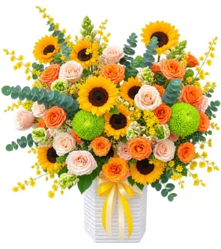 Hộp hướng dương hồng cam