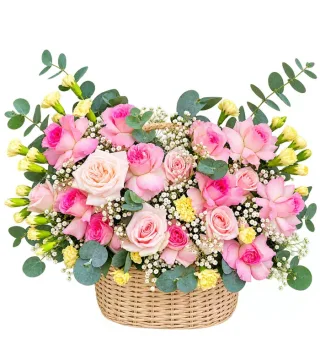 Giỏ hồng phấn phối lan