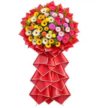 Kệ đồng tiền vàng hồng