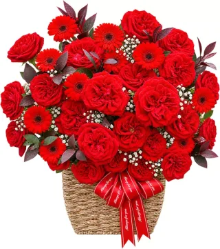 Giỏ hồng đỏ phối đồng tiền