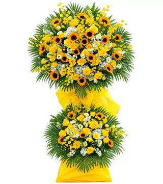 Kệ hướng dương hai tầng