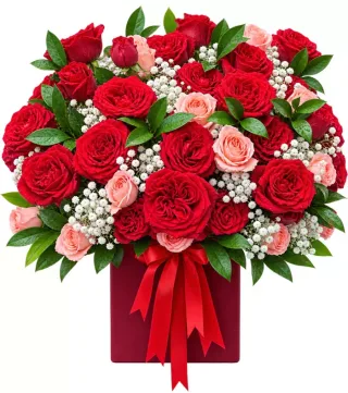 Hộp hồng đỏ phối phấn