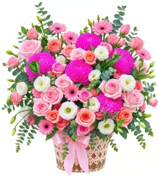 Giỏ cúc hồng phối hồng
