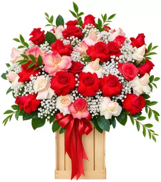 Hộp hồng đỏ phấn phối ly